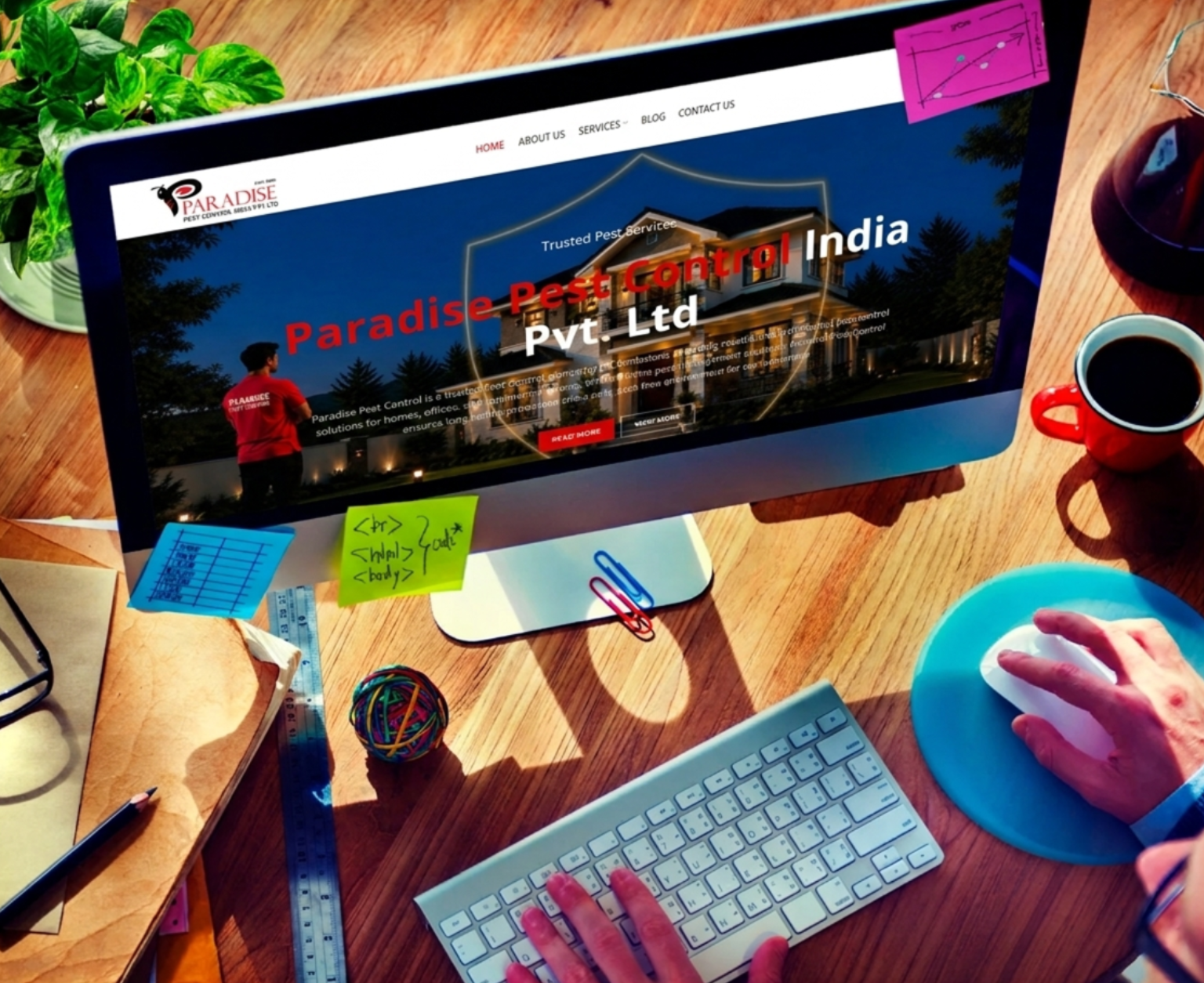 Paradise Pest Control business website design and development
